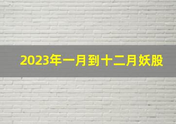 2023年一月到十二月妖股