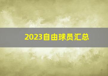 2023自由球员汇总