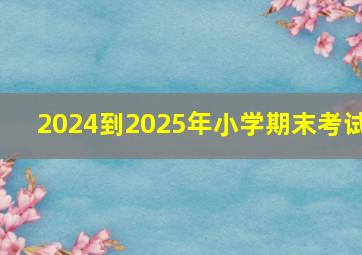 2024到2025年小学期末考试