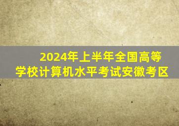 2024年上半年全国高等学校计算机水平考试安徽考区