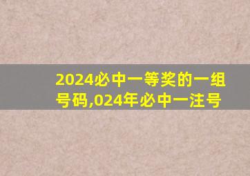 2024必中一等奖的一组号码,024年必中一注号