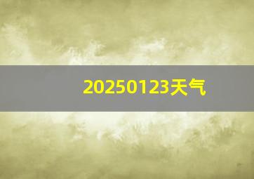 20250123天气