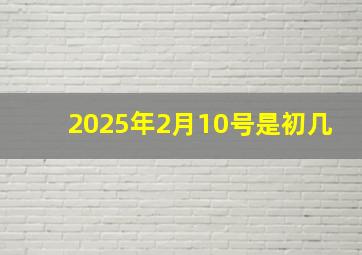 2025年2月10号是初几