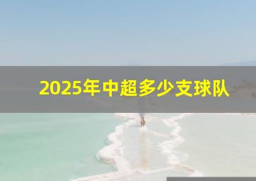 2025年中超多少支球队