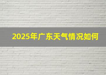 2025年广东天气情况如何