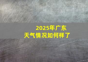 2025年广东天气情况如何样了