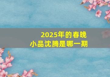 2025年的春晚小品沈腾是哪一期