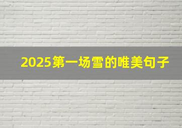 2025第一场雪的唯美句子