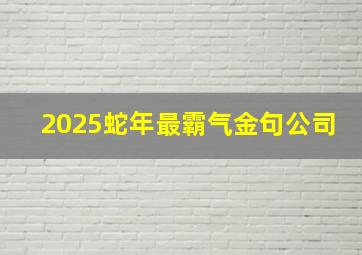 2025蛇年最霸气金句公司