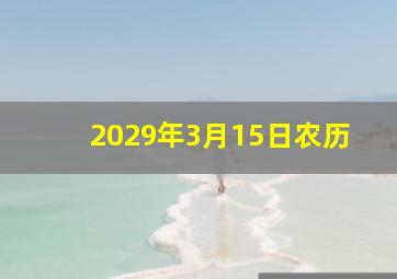 2029年3月15日农历