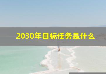 2030年目标任务是什么