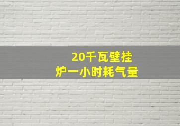 20千瓦壁挂炉一小时耗气量