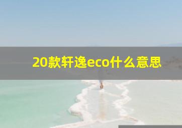 20款轩逸eco什么意思