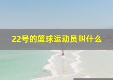 22号的篮球运动员叫什么