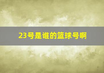 23号是谁的篮球号啊