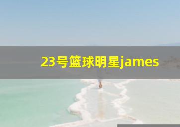 23号篮球明星james