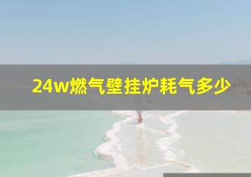 24w燃气壁挂炉耗气多少