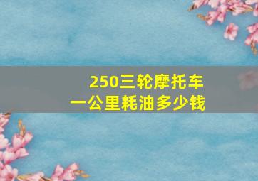 250三轮摩托车一公里耗油多少钱