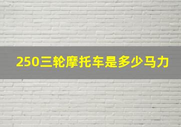 250三轮摩托车是多少马力