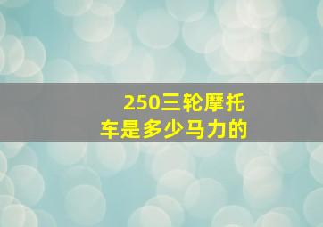 250三轮摩托车是多少马力的