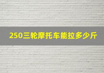 250三轮摩托车能拉多少斤