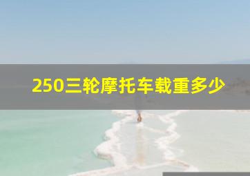 250三轮摩托车载重多少