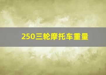 250三轮摩托车重量