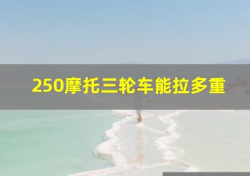 250摩托三轮车能拉多重