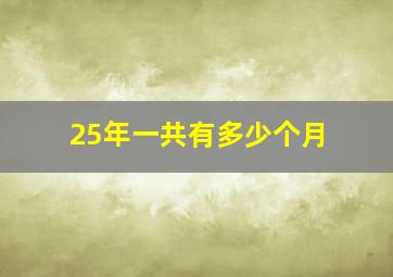 25年一共有多少个月