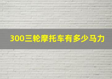 300三轮摩托车有多少马力