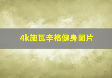 4k施瓦辛格健身图片