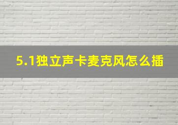 5.1独立声卡麦克风怎么插