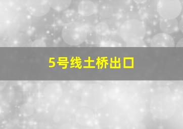 5号线土桥出口