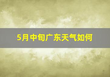 5月中旬广东天气如何