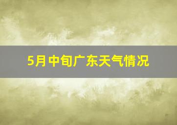 5月中旬广东天气情况