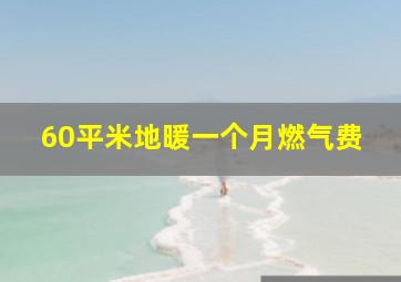 60平米地暖一个月燃气费