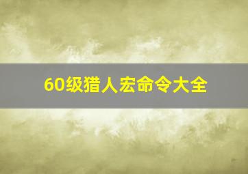 60级猎人宏命令大全