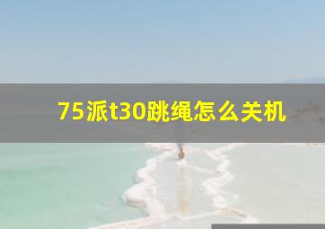 75派t30跳绳怎么关机