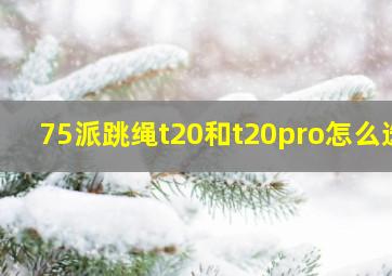 75派跳绳t20和t20pro怎么选