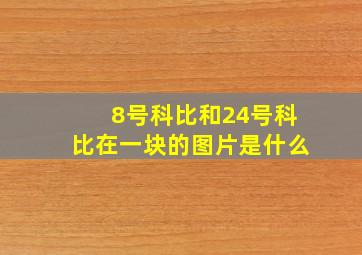 8号科比和24号科比在一块的图片是什么