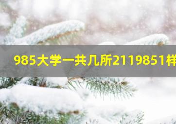 985大学一共几所2119851样吗