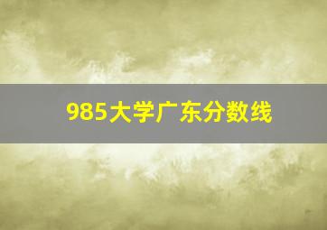 985大学广东分数线