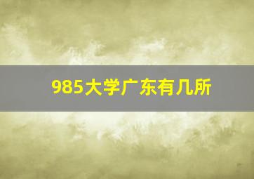 985大学广东有几所