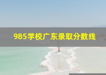 985学校广东录取分数线