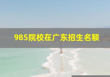 985院校在广东招生名额