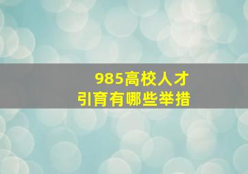 985高校人才引育有哪些举措