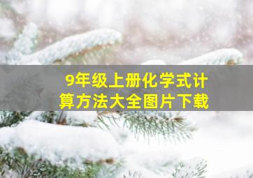 9年级上册化学式计算方法大全图片下载