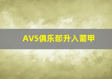 AVS俱乐部升入葡甲