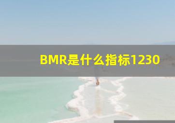 BMR是什么指标1230