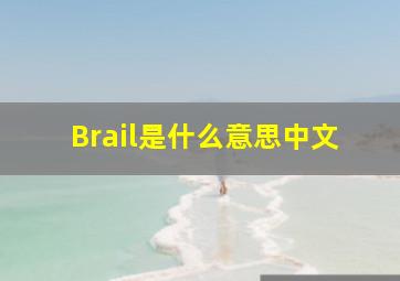 Brail是什么意思中文